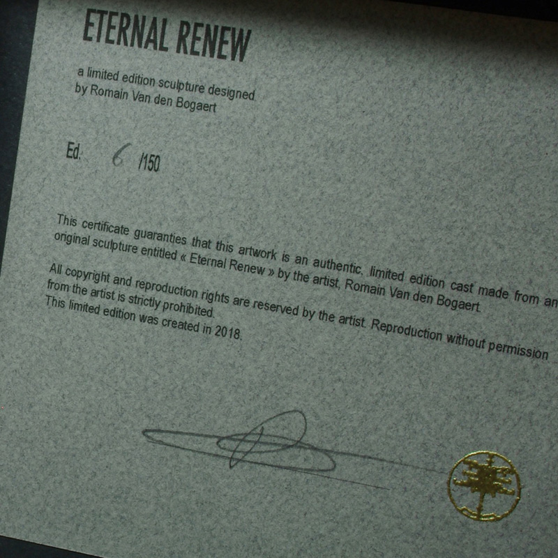 IMG_2513resize_lowrez