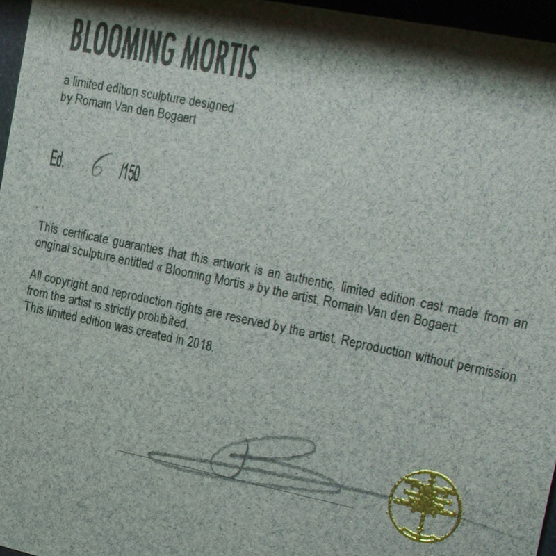 IMG_2515resize_lowrez