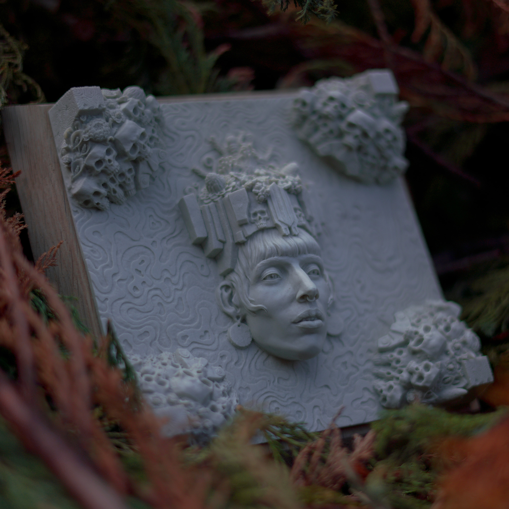 _DSC0322_retouche_2000